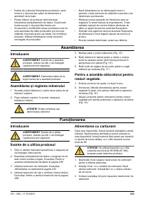 Страница 233