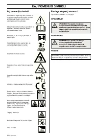 Страница 227