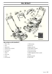 Страница 230