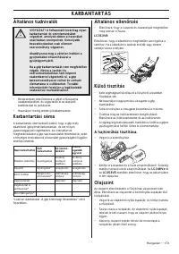 Страница 173