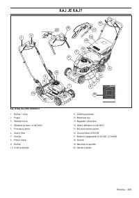 Страница 229