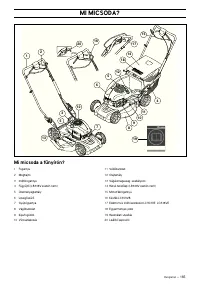 Страница 166
