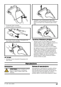 Страница 247
