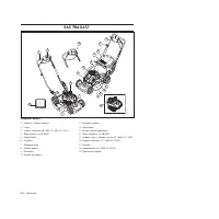 Страница 260