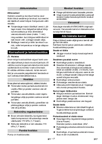 Страница 217