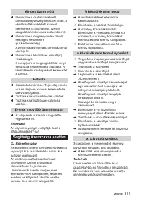 Страница 111