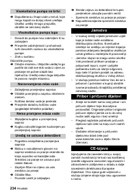 Страница 234