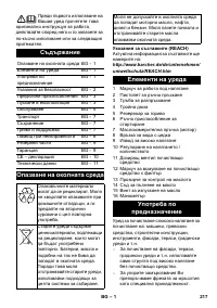 Страница 217