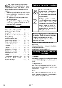 Страница 176