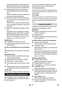 Страница 217