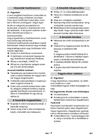 Страница 161