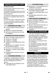 Страница 163