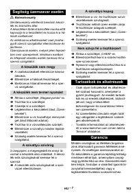 Страница 163