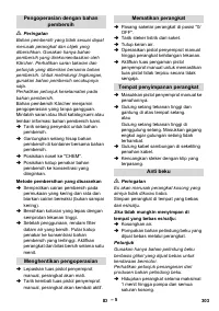 Страница 303