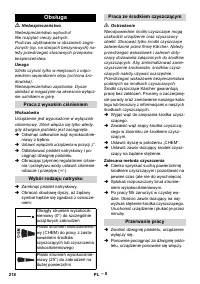 Страница 218