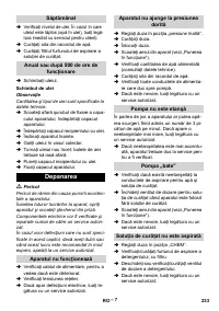 Страница 233