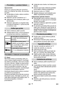 Страница 243