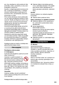 Страница 303