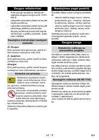 Страница 313