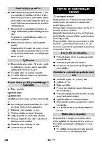 Страница 258