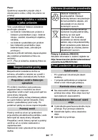 Страница 258