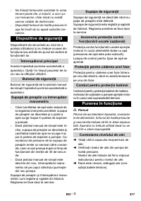 Страница 217