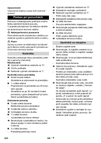 Страница 234