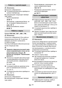 Страница 263