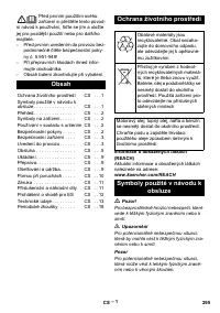 Страница 295