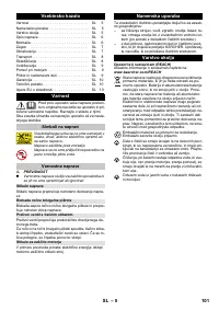 Страница 101