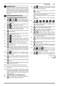 Страница 117