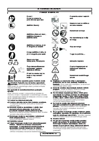 Страница 161