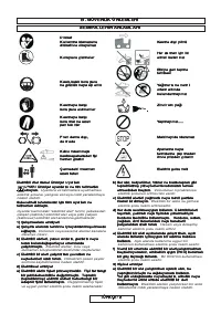 Страница 242