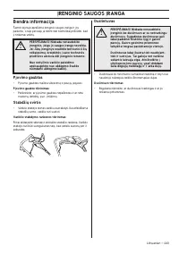 Страница 243