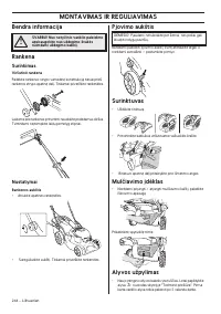Страница 244