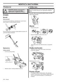 Страница 258