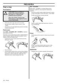 Страница 262