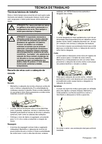 Страница 233