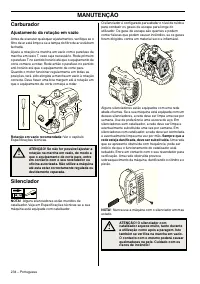 Страница 234