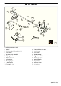 Страница 243