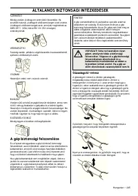 Страница 245