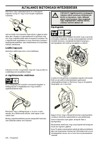 Страница 246