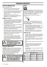 Страница 250