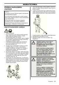 Страница 253