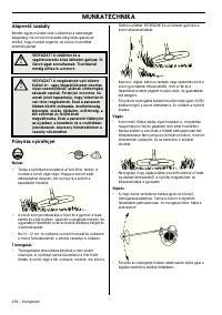 Страница 254