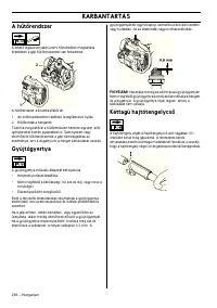 Страница 256
