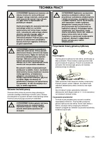 Страница 275