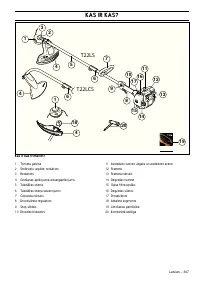 Страница 307
