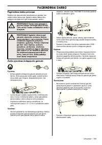Страница 339