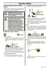 Страница 423